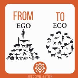from ego to eco