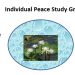 မြန်မာ့ရေသိပ္ပံမှ Individual Peace Study Group ဆွေးနွေးပွဲများကို အပတ်စဥ် ကြာသပတေးနေ့တိုင်း ညနေ ၇နာရီမှ ၈နာရီအထိ ပြုလုပ်နေပါသည်။